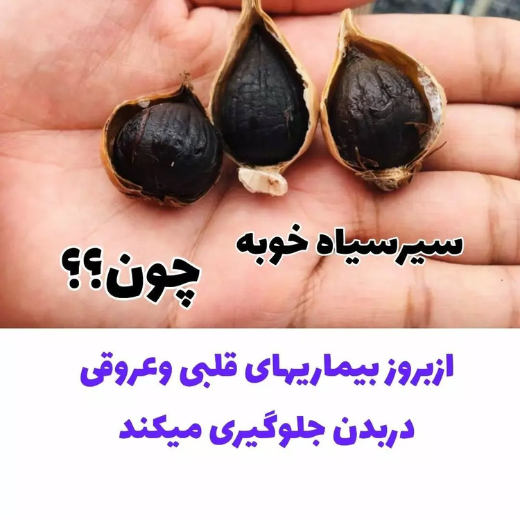 سیرسیاه معجزه قرن با رطوبت ودمای سالم تخمیر شده