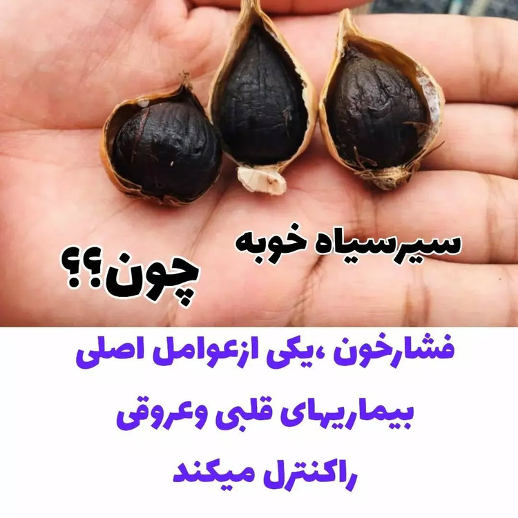 سیرسیاه معجزه قرن با رطوبت ودمای سالم تخمیر شده