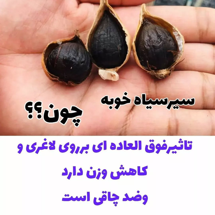 سیرسیاه معجزه قرن با رطوبت ودمای سالم تخمیر شده